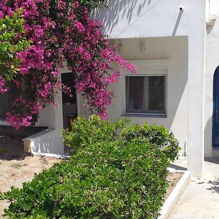 Apartament white&blue,finikas syros Vissa Zewnętrze zdjęcie