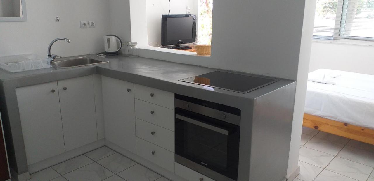 Apartament white&blue,finikas syros Vissa Zewnętrze zdjęcie