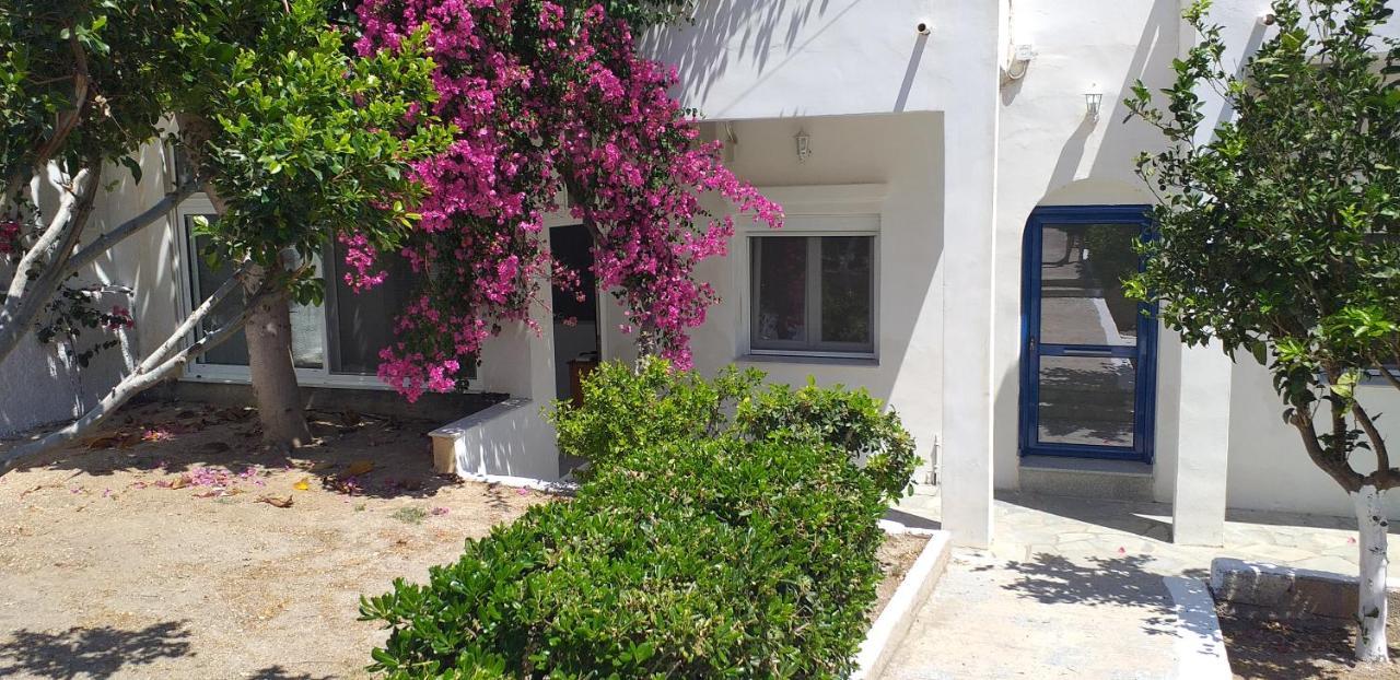 Apartament white&blue,finikas syros Vissa Zewnętrze zdjęcie